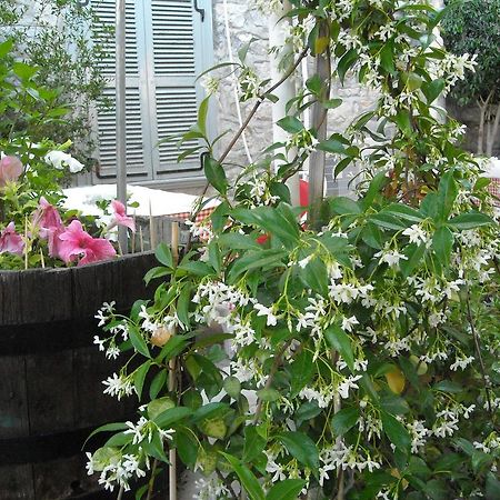 Theano Guesthouse Hydra  Esterno foto