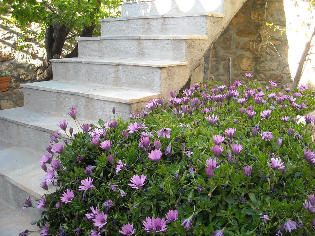 Theano Guesthouse Hydra  Esterno foto