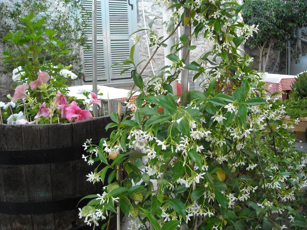 Theano Guesthouse Hydra  Esterno foto